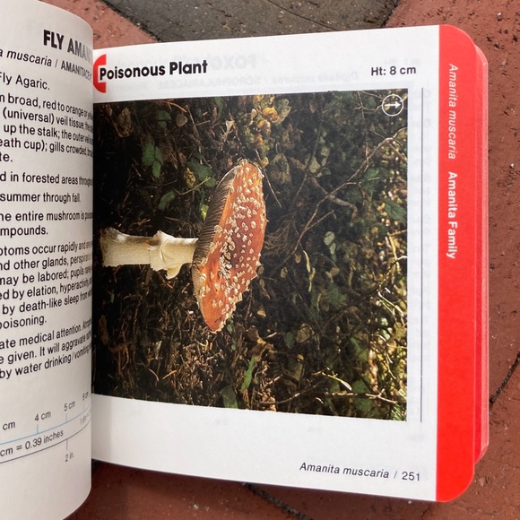 1985 Nature Bound Pocket Field Guide Edible Plant Identification Survival Guide - Picture 8 of 12